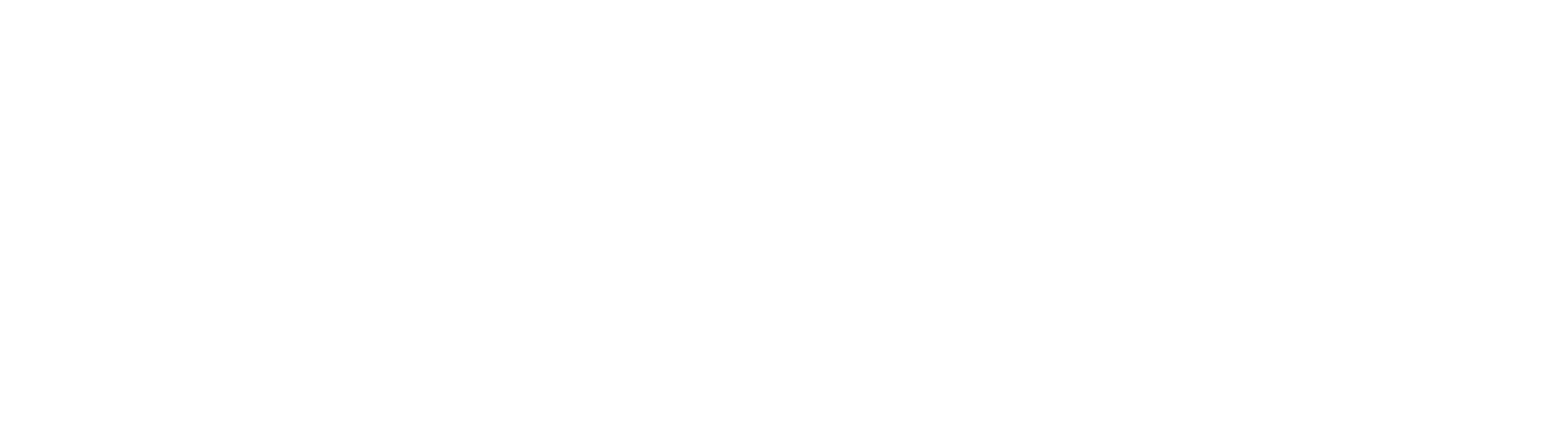The Lost Co